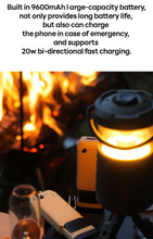 Load image into Gallery viewer, Torch also Power bank Function