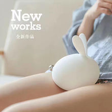 Load image into Gallery viewer, Rabbit night lamp