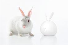 Load image into Gallery viewer, Rabbit night lamp
